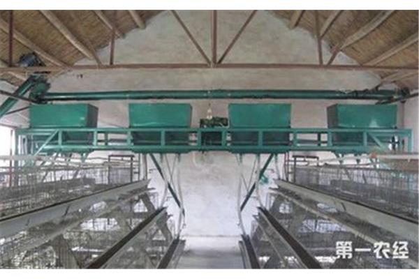 河南養(yǎng)雞自動(dòng)喂料設(shè)備 蛋雞自動(dòng)喂料機(jī)有什么特點(diǎn)?